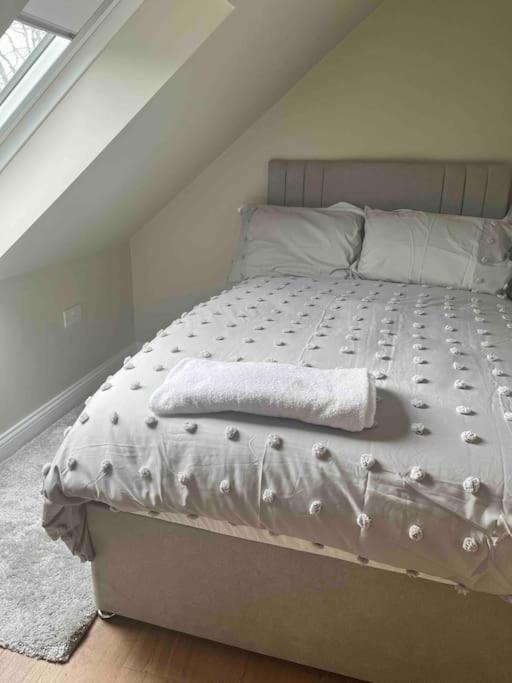 Mid Antrim Modern Apartment Newferry Esterno foto